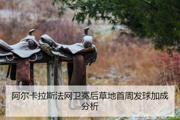 a-er-ka-la-si-fa-wang-wei-mian-hou-cao-di-shou-zhou-fa-qiu-jia-cheng-fen-xi-2-551.jpg