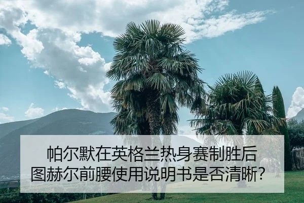 pa-er-mo-zai-ying-ge-lan-re-shen-sai-zhi-sheng-hou-tu-he-er-qian-yao-shi-yong-shuo-ming-shu-shi-fou-qing-xi-2-926.jpg