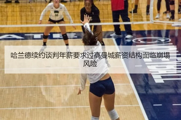 ha-lan-de-xu-yue-tan-pan-nian-xin-yao-qiu-guo-gao-man-cheng-xin-zi-jie-gou-mian-lin-beng-ta-feng-xian-3-298.jpg