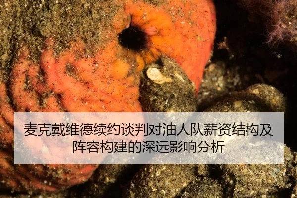 麦克戴维德续约谈判对油人队薪资结构及阵容构建的深远影响分析
