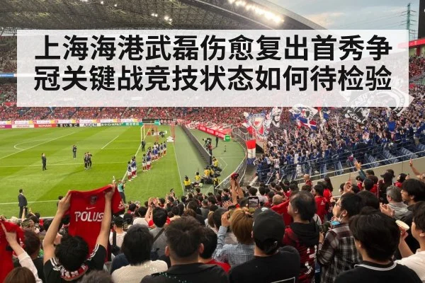 上海海港武磊伤愈复出首秀争冠关键战竞技状态如何待检验