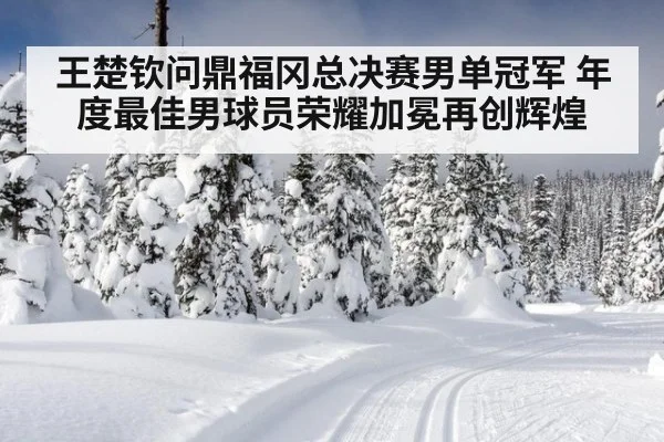 王楚钦问鼎福冈总决赛男单冠军 年度最佳男球员荣耀加冕再创辉煌
